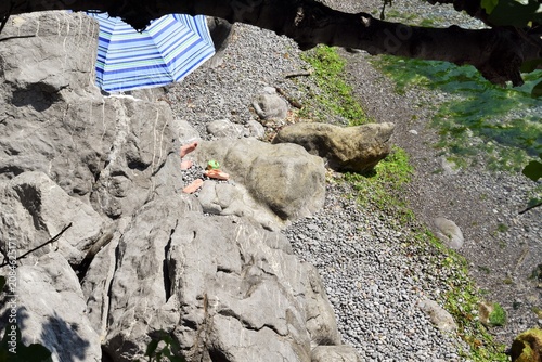 Summer trip. Sea waves and rocky shore.
