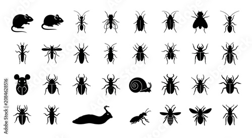 Black silhouettes of various insects and rodents on white background