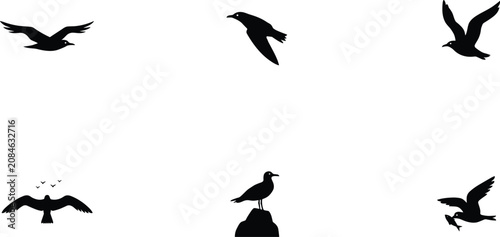 Konstfotografi Seagull silhouette icon set featuring flying sea birds ocean gulls gliding with