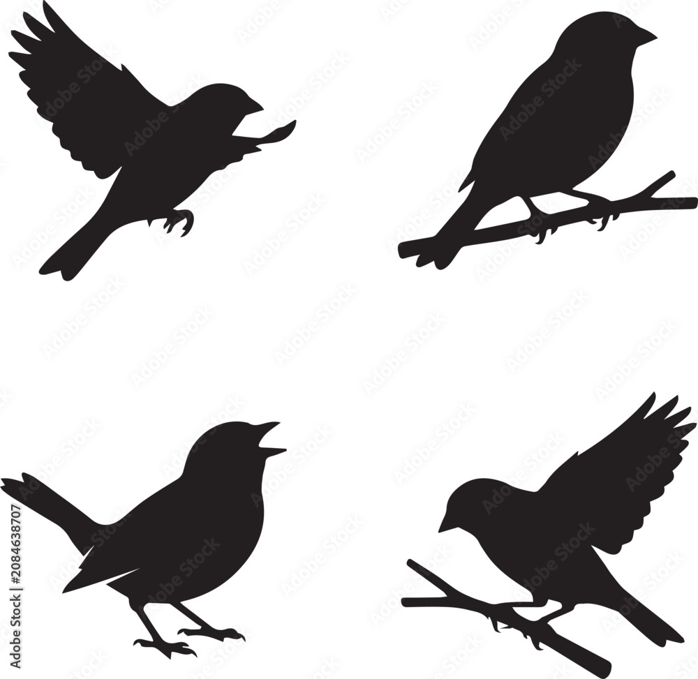 Fototapeta premium Black Bird Silhouettes in Flight and Perched Poses