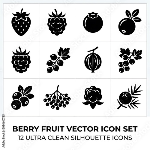 Berry fruit vector icon set silhouette collection.