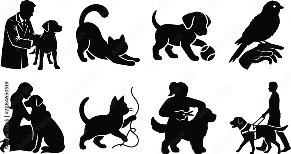 Fototapeta premium Collection of domestic pets and animal care silhouettes including veterinary checkup grooming and training icons