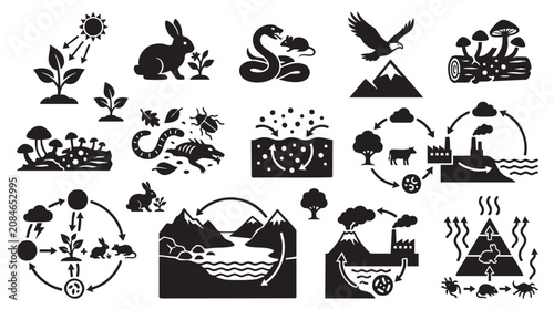 Ecology and food chain vector icon set, representing environmental cycles and predator prey relationships.