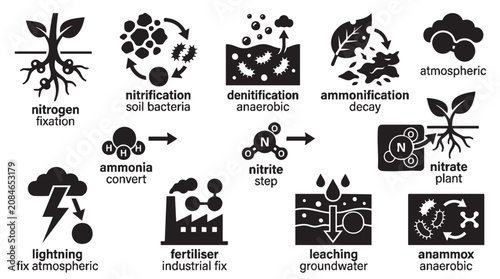 Nitrogen cycle diagrams, illustrating various processes like fixation, nitrification, denitrification, and ammonification.