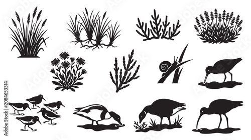 Wetland and shorebird vector icon set, depicting marsh plants and wading birds in their habitat.