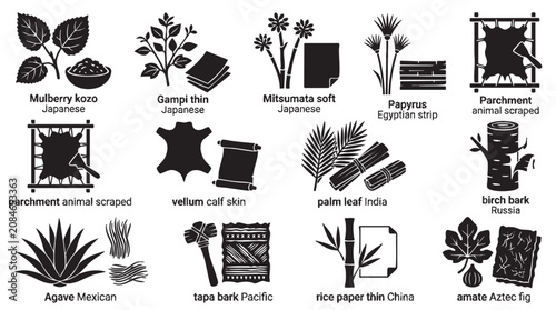 Set of ancient paper writing materials and natural fiber sources.