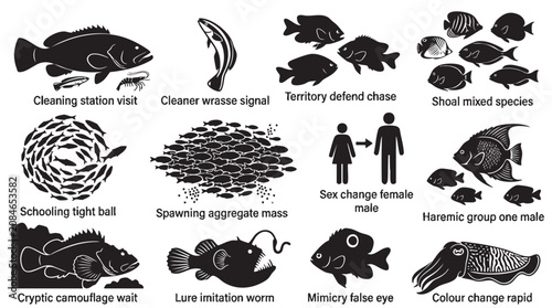 Marine fish behavior and survival strategies black silhouette icons on white background.