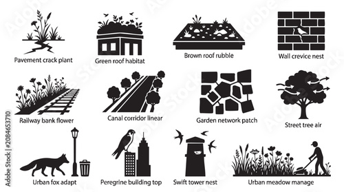 Urban ecology and city wildlife vector icon set for sustainable development.