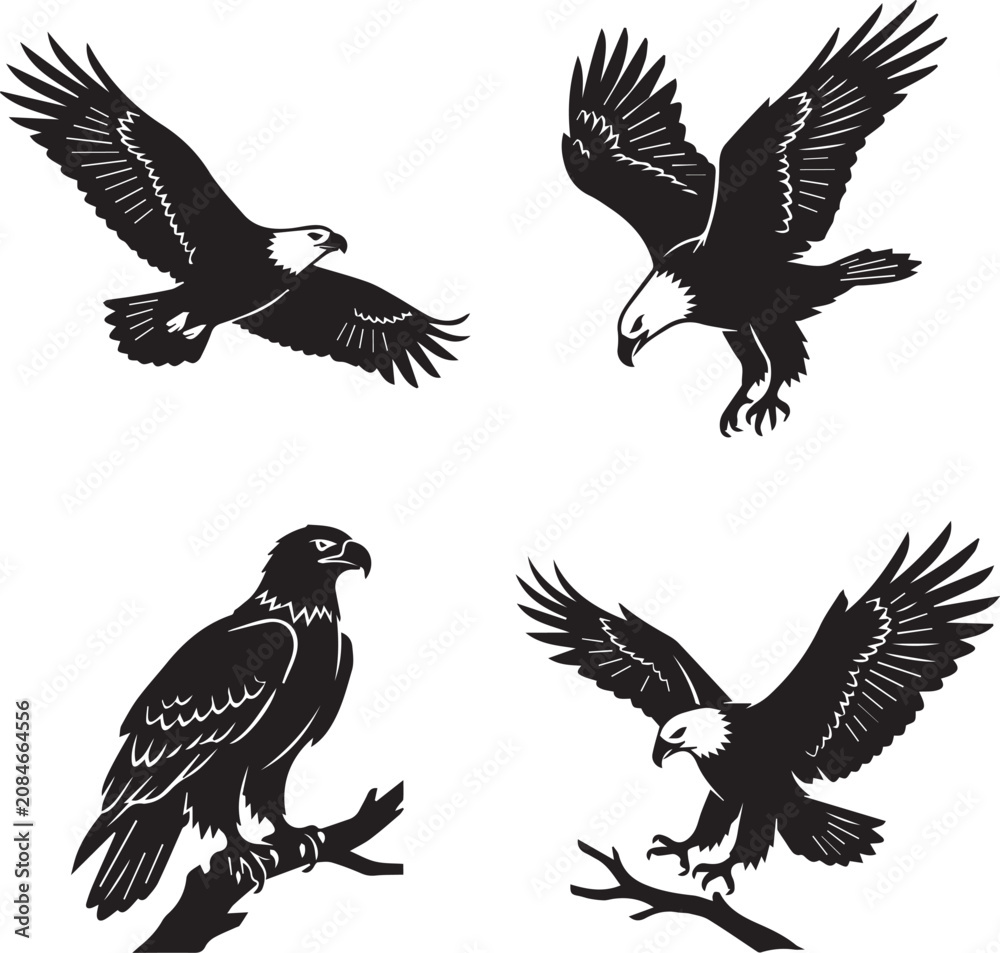 Fototapeta premium Majestic Eagle Silhouettes in Flight and Perched Poses