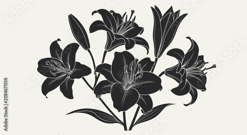 Black lily flowers with white outline on beige background