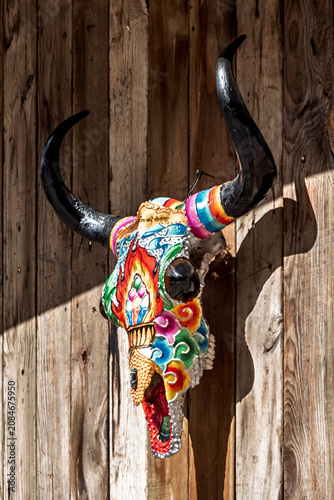 Photography Yak skull mounted on weathered wooden board, western Sichuan plateau Tibetan fol