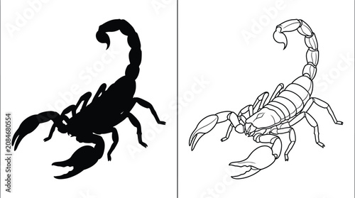 Fotografía Scorpion Black Silhouette and Line Art with a Predatory Stinger Curled Above Its
