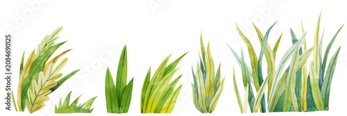 Watercolor green grass tufts collection spring meadow lawn elements for Easter egg hunt invitations summer nature landscape projects greeting cards design