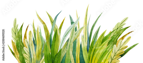 Watercolor summer meadow grass border background vibrant green lawn elements for field nature scenery layouts outdoor country lifestyle design projects