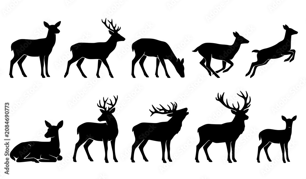 Obraz premium Deer Silhouette Collection Vector Set with Stag Doe Fawn Wildlife Forest Animal Poses