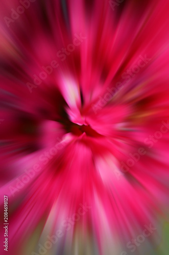 abstract background with pink flowers