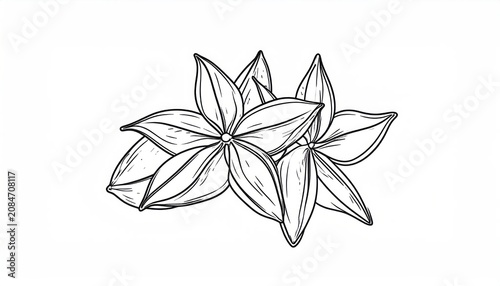 Minimalist outline of star anise spice pods.