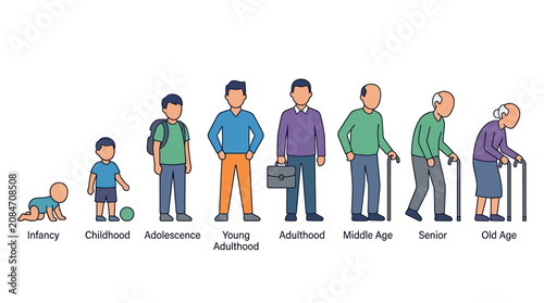 Obraz na plátně Human life cycle illustration from infancy to old age