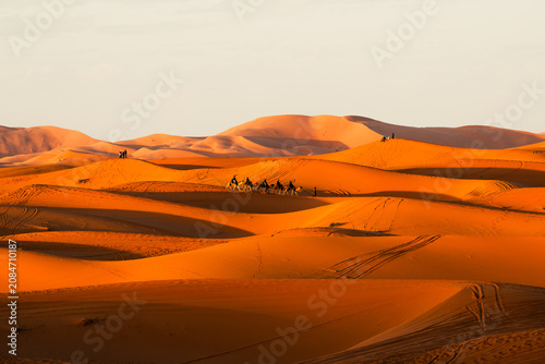 Sahara desert Morocco