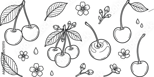 Foto Hand drawn fresh cherries leaves cherry blossoms and buds line art vector elements set isolated on white