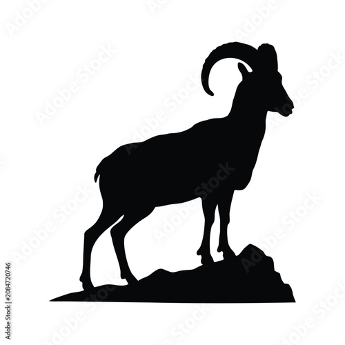 Φωτογραφία Black ram standing silhouette, black ram sideways silhouette, wild ram black sil