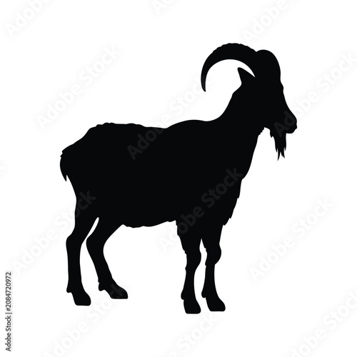 Tableau sur toile Black ram standing silhouette, black ram sideways silhouette, wild ram black sil