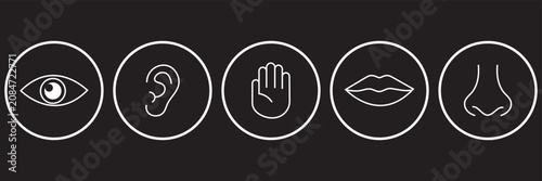 Line art icons of five human senses: sight, hearing, smell, taste, touch.