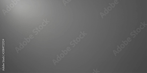Schilderij op canvas A gradient of cool gray tones, subtly illuminated by a soft light source in the upper left corner, creates a minimalist and modern backdrop, evoking a sense of calm and sophistication
