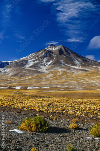Atacama Desert Chile 