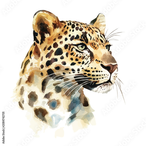 Photography Leopard, soft and charming watercolor, isolated on a white background, delicate and elegant style