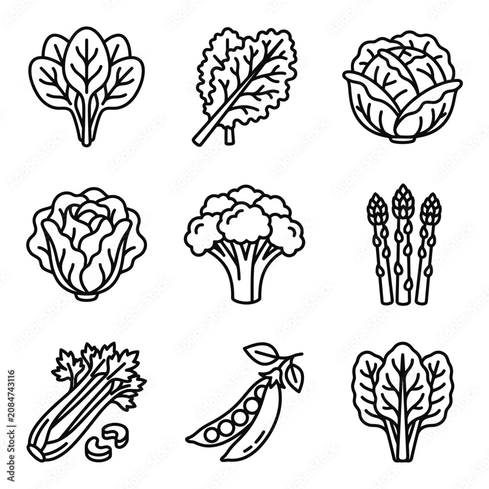 Fototapeta premium Healthy Vegetables Icon Set: Spinach, Kale, Cabbage, Broccoli, Asparagus, Celery, Peas