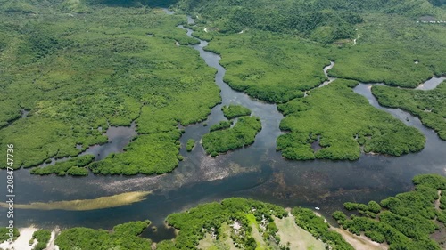 Wide mangrove forest with winding river channel flowing through green landscape. Siargao, Philippines.