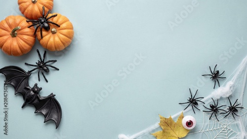 Halloween decorations with pumpkins spiders bats and cobwebs on a light blue background