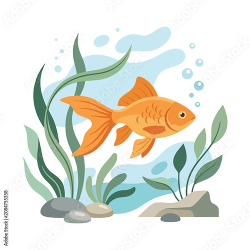 Goldfish swimming in aquarium vector illustration, orange pet fish with seaweed and bubbles, underwater aquatic scene