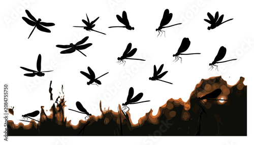 Photos Bird Silhouettes Flying Around a Burning Ground Line with Orange Flames and Char