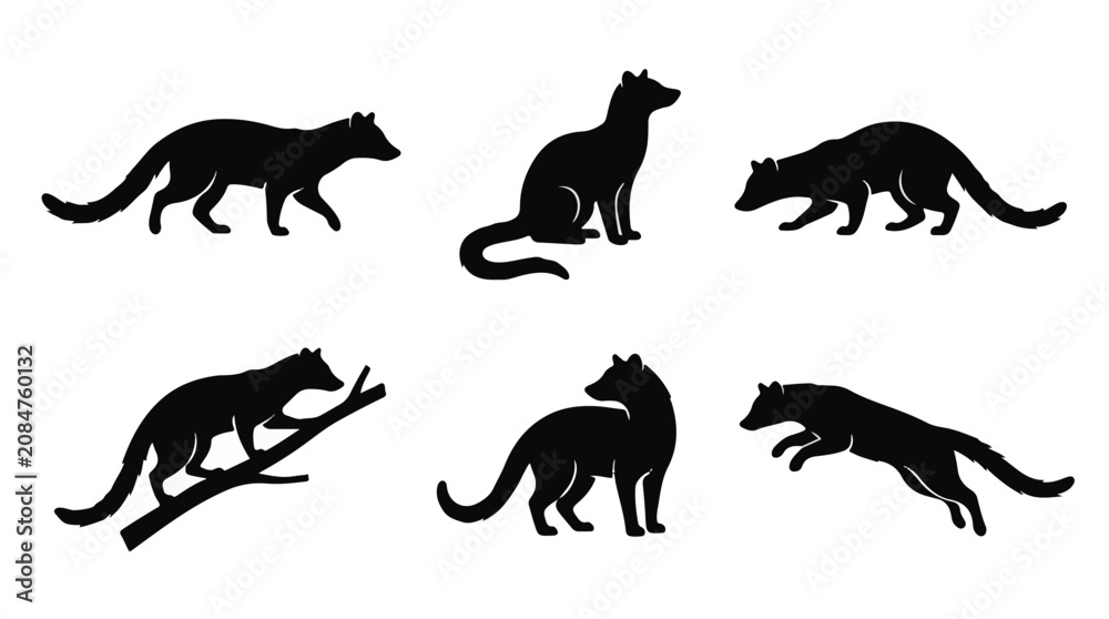 Fototapeta premium Black silhouette of a civet climbing