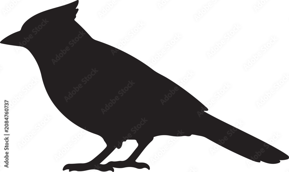 Fototapeta premium Black Crow Bird Silhouette Vector Illustration Isolated on White Background with Feathered Wildlife Design Icon