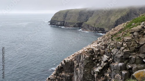 The Lighthouse of Cape St. Mary's with the orthern gannets (Morus bassanus) colony of Bird Rock in foreground at the Cape St. Mary's Ecological Reserve (Saint Bride’s, Newfoundland, Canada)