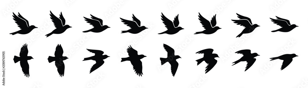 Naklejka premium Flying Bird Silhouette Collection Set with Different Flight Poses Isolated Black Vector Icons