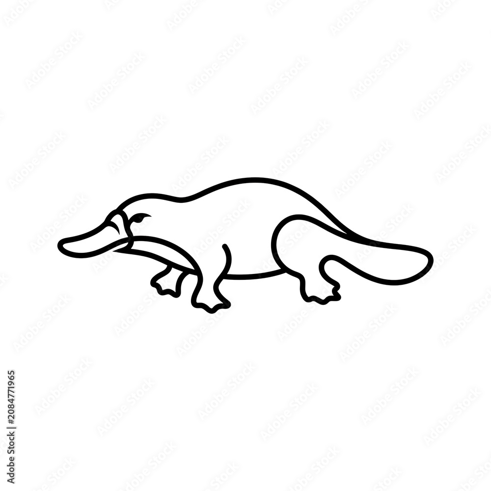 Fototapeta premium Simple line art illustration of a platypus on a white background.