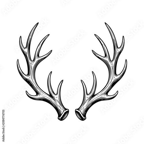 Symmetrical Silver Metallic Deer Antlers Isolated on White Background