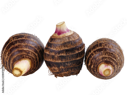 Valokuva Isolated three fresh whole taro roots, also known as cocoyam or dasheen, starchy tropical vegetable