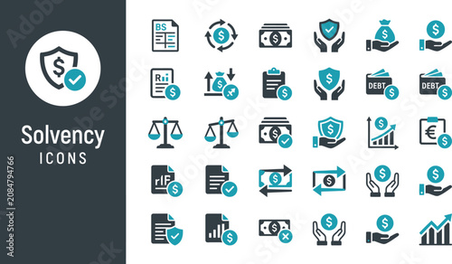 Solvency icons represent financial stability and fiscal security through professional graphic symbols.