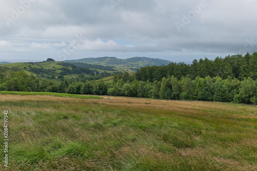 A scenic landscape with a foreground of golden grasses, a line of green trees, and distant rolling hills under a cloudy sky in Cumbria - North West - UK