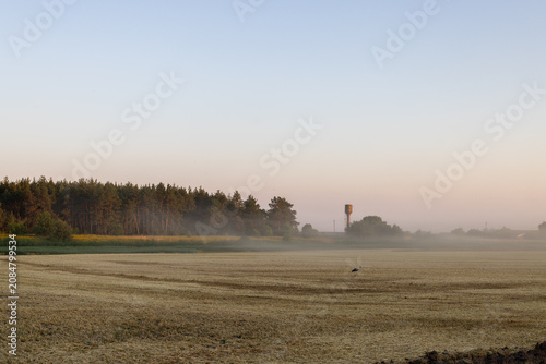 Obraz na plátně Morning mist covering a rural field landscape