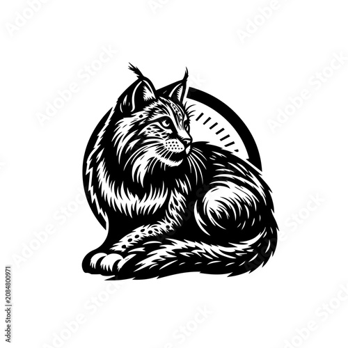 Black and white cat illustration