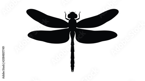 Tableau sur toile Dragonfly Silhouette Against A White Background Minimalist Black Shape