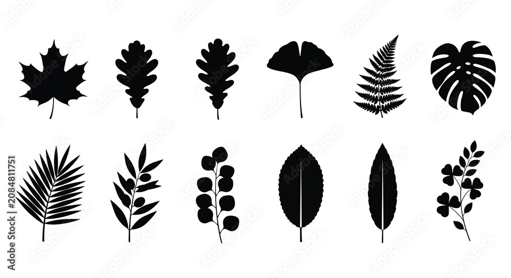 Obraz premium Collection Of Various Leaf Shapes In Black Silhouette leaves foliage