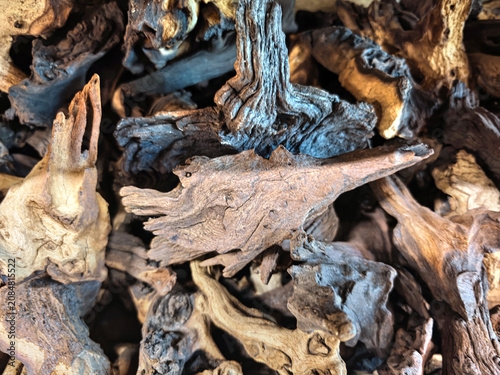 Mopane driftwood, a popular decorative item for aquariums and terrariums.