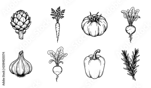 Foto Hand Drawn Vegetable Collection with Artichoke Carrot Tomato Garlic Pepper and H